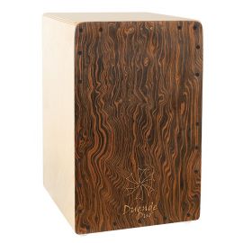 Duende Cajon Duo